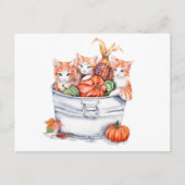 Carte Postale Chatons de récolte (Devant)