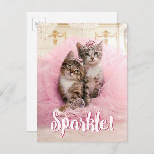 Carte Postale Chatons doux à Tiaras et Tutu rose étincelant (Devant / Derrière)