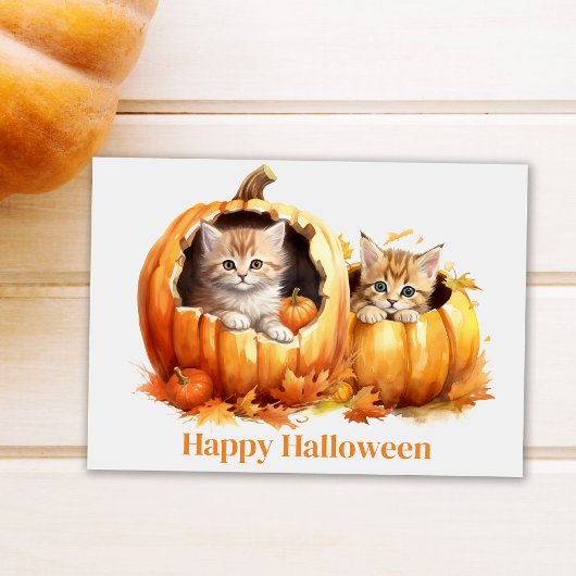 Carte Postale Chatons en Halloween Citrouille