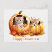 Carte Postale Chatons en Halloween Citrouille (Devant)