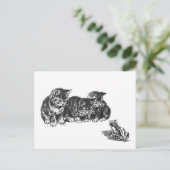 Carte Postale Chatons et un crapaud par Ernest Nister - chat vin (Debout devant)