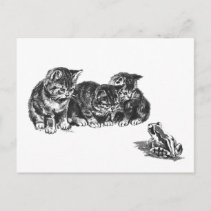 Carte Postale Chatons et un crapaud par Ernest Nister - chat vin
