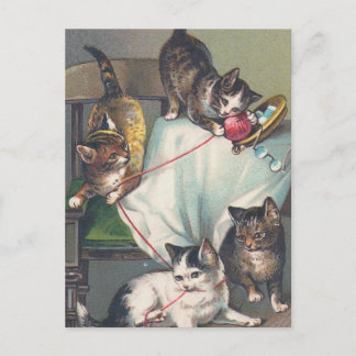 Carte postale "Chatons jouant avec de la laine de