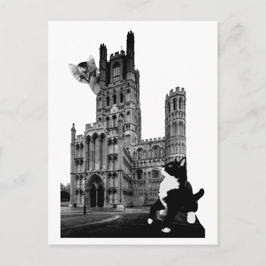 Carte Postale Chatons jouant sur la cathédrale d'Ely (Devant)