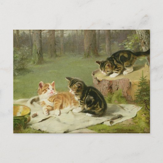 Carte Postale Chatons Jouer (Devant)