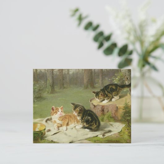 Carte Postale Chatons Jouer (Debout devant)