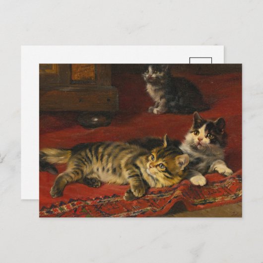 Carte Postale Chatons | Julius Adam le Jeune (Devant / Derrière)