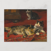 Carte Postale Chatons | Julius Adam le Jeune (Devant)
