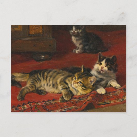 Carte Postale Chatons | Julius Adam le Jeune (Devant)