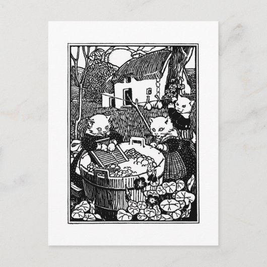 Carte Postale Chatons Laver Mittens Chatons (Devant)