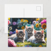 Carte Postale Chatons mignons dans le jardin de fleurs (Devant / Derrière)