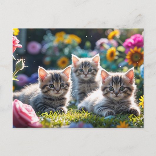 Carte Postale Chatons mignons dans le jardin de fleurs (Devant)