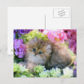 Carte Postale Chatons précieux Fluffy Chats Animaux (Devant / Derrière)