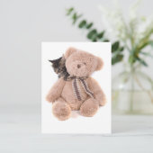 Carte Postale chatons tabby jouant avec un ours en peluche (Debout devant)