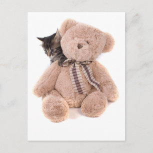 Carte Postale chatons tabby jouant avec un ours en peluche