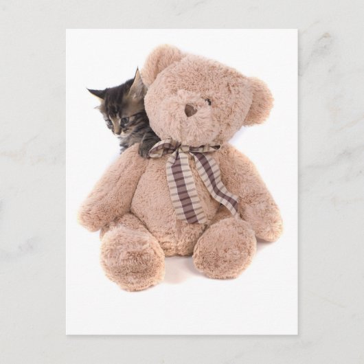 Carte Postale chatons tabby jouant avec un ours en peluche (Devant)