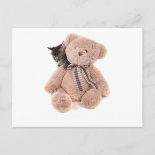 Carte Postale chatons tabby jouant avec un ours en peluche
