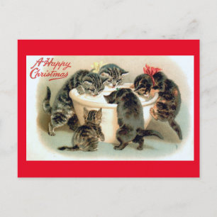 Carte Postale Chatons, un joyeux Noël,