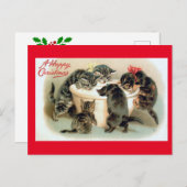 Carte Postale Chatons, un joyeux Noël, (Devant / Derrière)