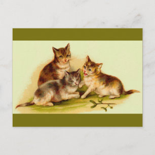 Carte Postale chatons victoriens