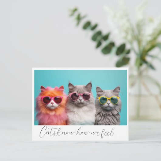 Carte postale Chats (Debout devant)