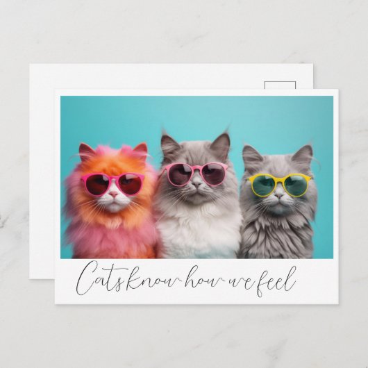 Carte postale Chats (Devant / Derrière)