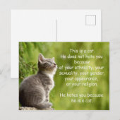 Carte Postale Chats (Devant / Derrière)