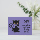 Carte Postale chats (Debout devant)
