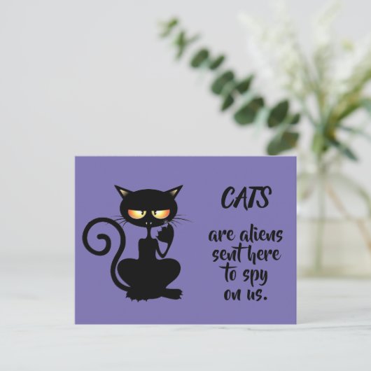 Carte Postale chats (Debout devant)