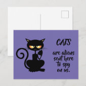 Carte Postale chats (Devant / Derrière)