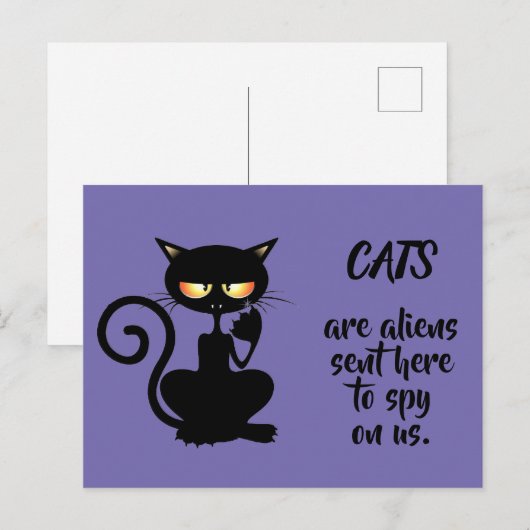 Carte Postale chats (Devant / Derrière)