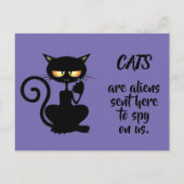 Carte Postale chats (Devant)