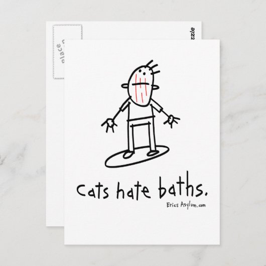 Carte Postale chats (Devant / Derrière)