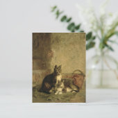 Carte Postale Chats, 1883 (Debout devant)