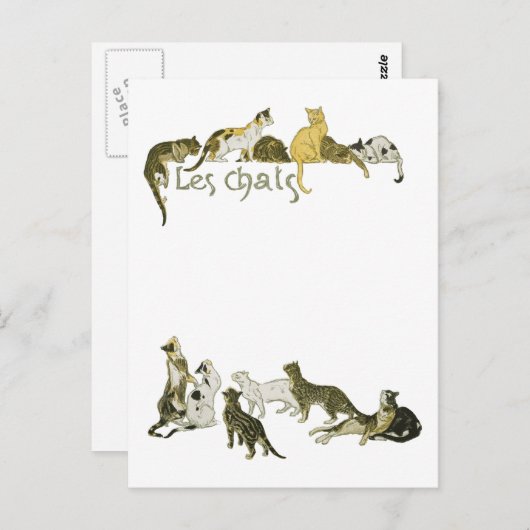 Carte Postale Chats, Alexandre Steinlen (Devant / Derrière)