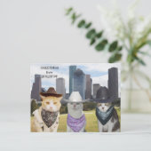 Carte Postale Chats amusants/Kitties Bonjour de Houston (Debout devant)