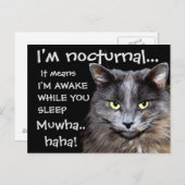 Carte Postale Chats Badass (Devant / Derrière)