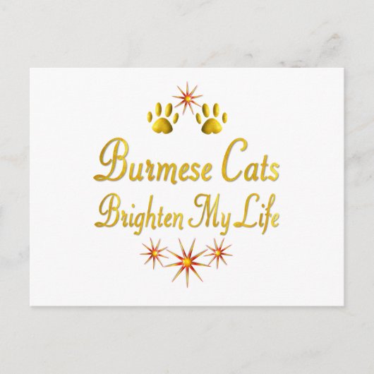 Carte Postale Chats birmans Éclairer Ma Vie (Devant)
