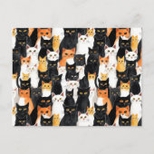 Carte Postale Chats blancs oranges noirs (Devant)