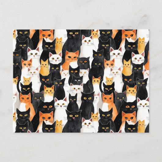 Carte Postale Chats blancs oranges noirs (Devant)
