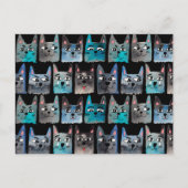 Carte Postale Chats bleus (Devant)