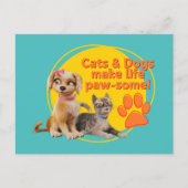 Carte Postale Chats & Chiens Font De La Vie Paw-some ! (Devant)