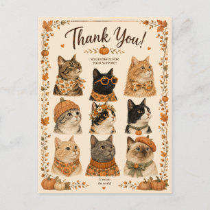 Carte Postale Chats Citrouilles Confort animal