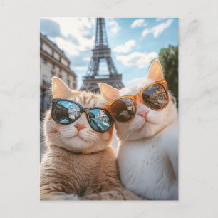 Carte Postale Chats cool à Paris