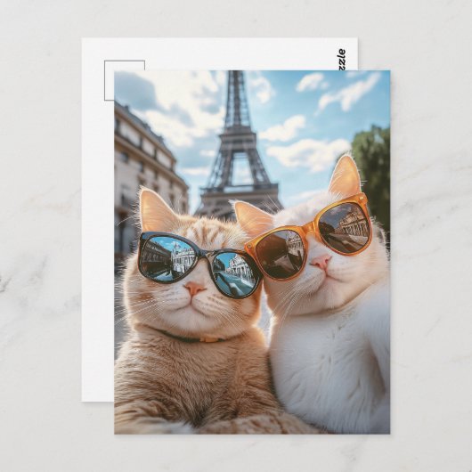 Carte Postale Chats cool à Paris (Devant / Derrière)