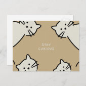 Carte Postale Chats curieux (Devant / Derrière)