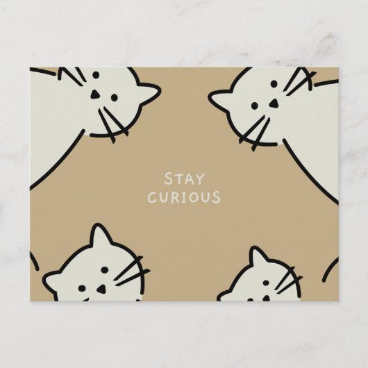 Carte Postale Chats curieux (Devant)