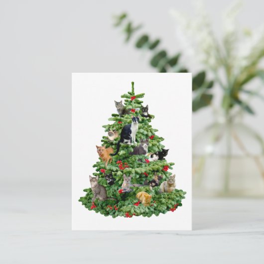 Carte Postale Chats dans l'arbre (Debout devant)