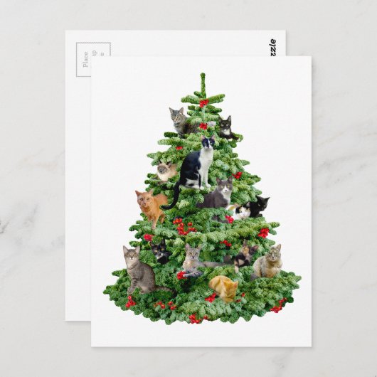 Carte Postale Chats dans l'arbre (Devant / Derrière)