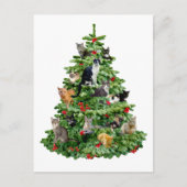 Carte Postale Chats dans l'arbre (Devant)